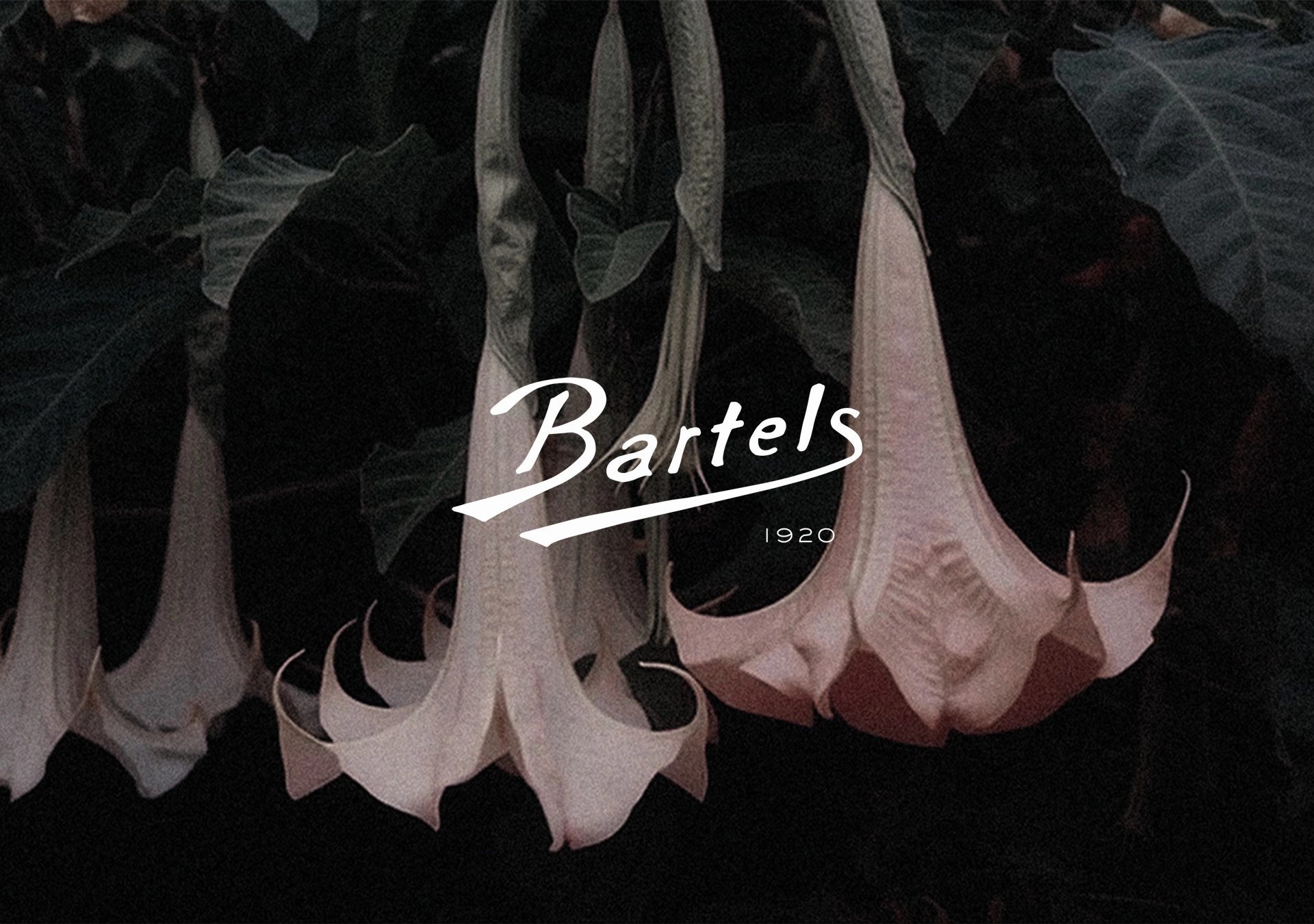 Bartels since 1920